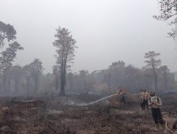 SATBRIMOB POLDA NTB LAKSANAKAN PENDINGINAN LAHAN GAMBUT DI TAMAN NASIONAL TANJUNG PUTING
